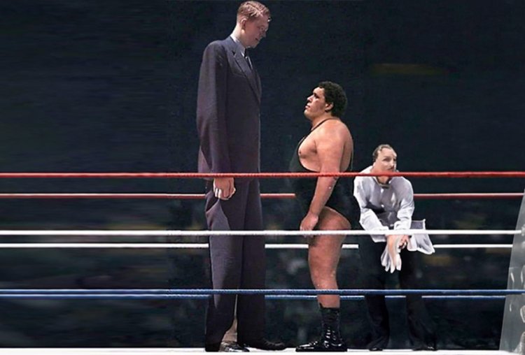 Андре Џинот и Роберт Вадлоу највисокиот човек на сите времиња