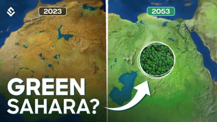 Сахара била зелена